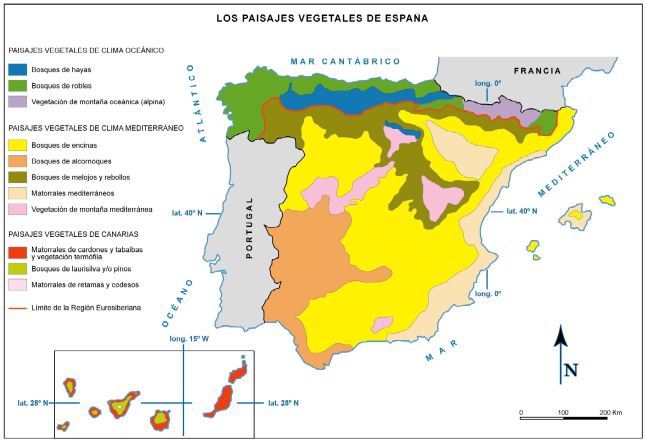 Biomas de España y sus características